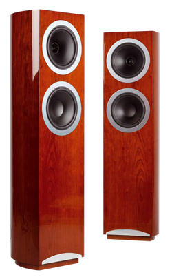 Tannoy DC 8 T